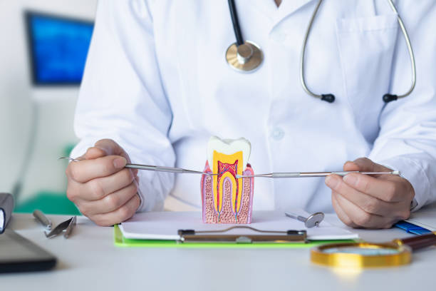 Best Emergency Dental Extractions in Brookdale, SC